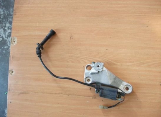 Bobine Suzuki TL 1000