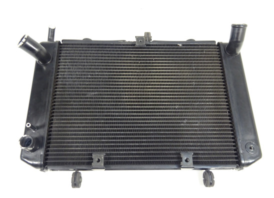 Radiator Suzuki GSR 600