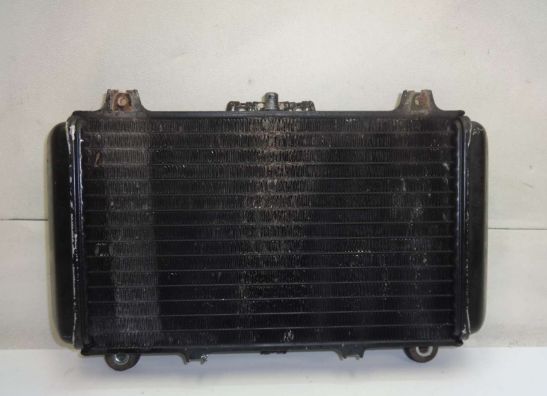 Radiator Kawasaki GPZ 600