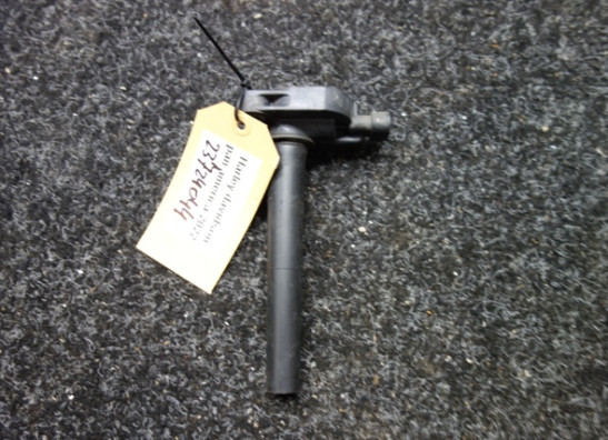 Zundspule Harley Davidson Pan America