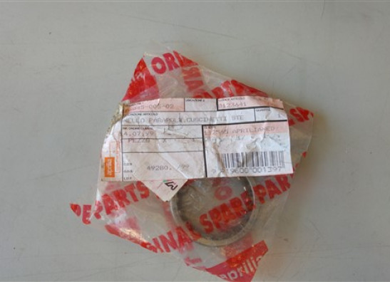 Other Aprilia RSV 1000