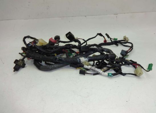 Kabelbaum Kawasaki ZX 6 R