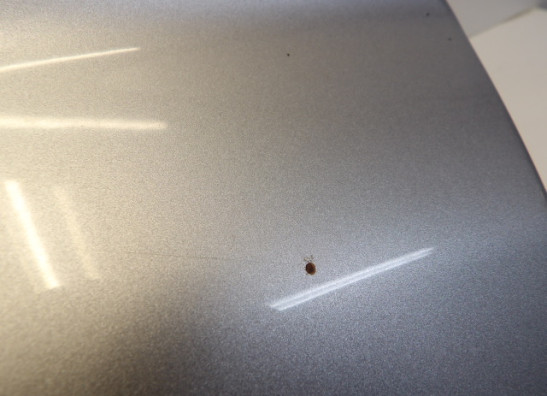 Tank Yamaha FJR 1300