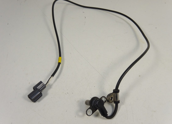 ABS sensor fuhler hinten Triumph Tiger 1050