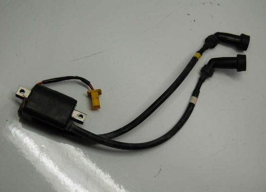 Bobine Kawasaki ZZR 600