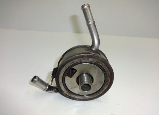 Olkuhler Honda CBR 600 F