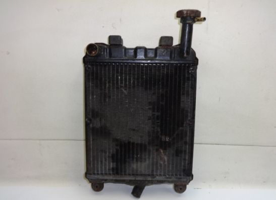 Kuhler Honda Goldwing GL