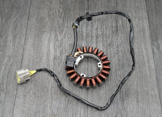 Lichtmaschine BMW R 1300 GS Adventure