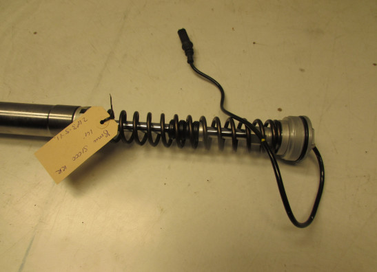 Voorpoot binnen BMW S 1000 RR