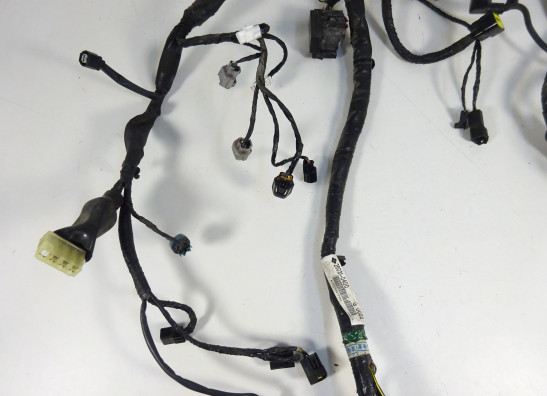 Wire Harness Kawasaki ER 6