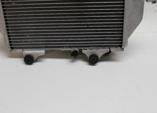 Radiateur Honda CRF 1100 Africa Twin