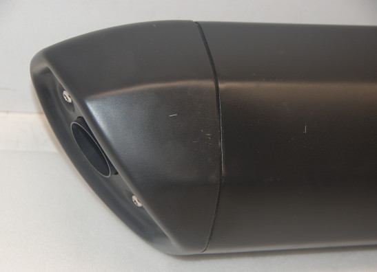 Auspuff Harley Davidson Pan America