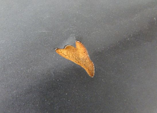 Seat Kawasaki ZXR 400