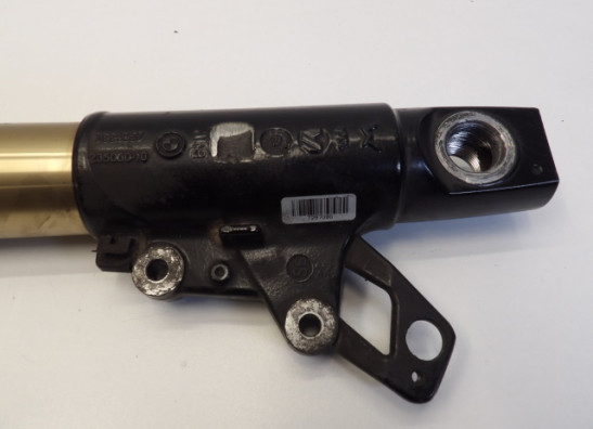 Standrohr Gabelholm links komplett BMW R 1200 GS
