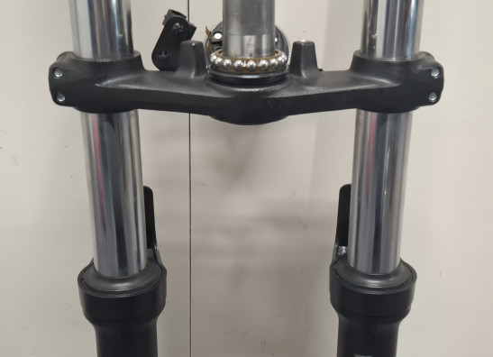 Voorpoten compleet Kawasaki Ninja 650