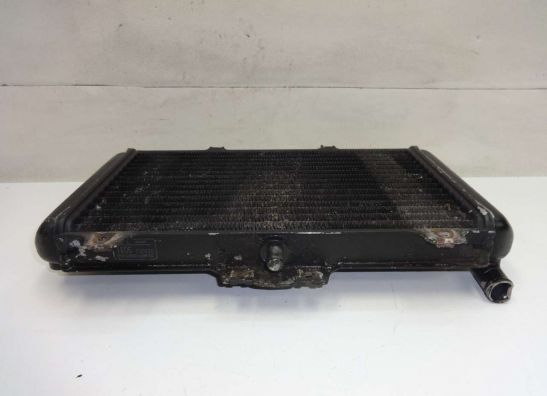 Kuhler Kawasaki GPZ 600