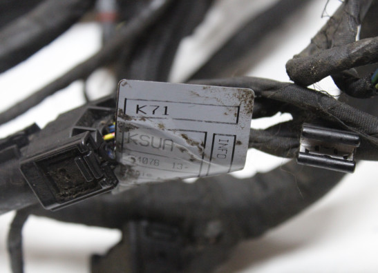 Kabelboom BMW F 800 S - ST