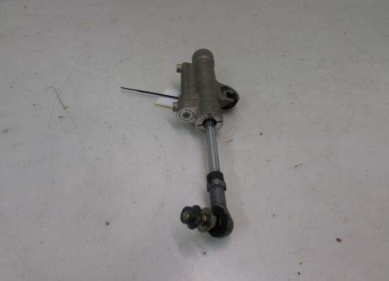 Lenkungs Dampfer Yamaha YZF R1