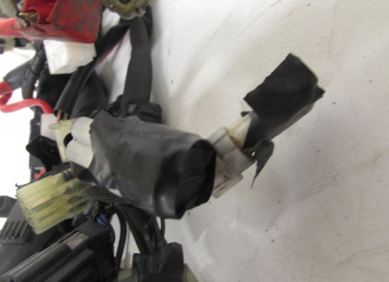 Kabelbaum Yamaha YZF R1