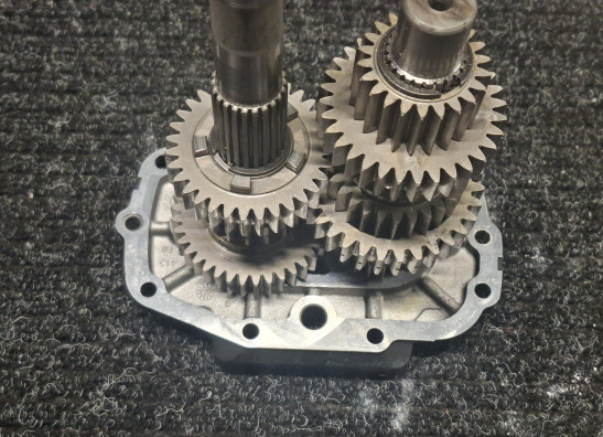 Versnellingsbak Harley Davidson FLSTF Fat Boy