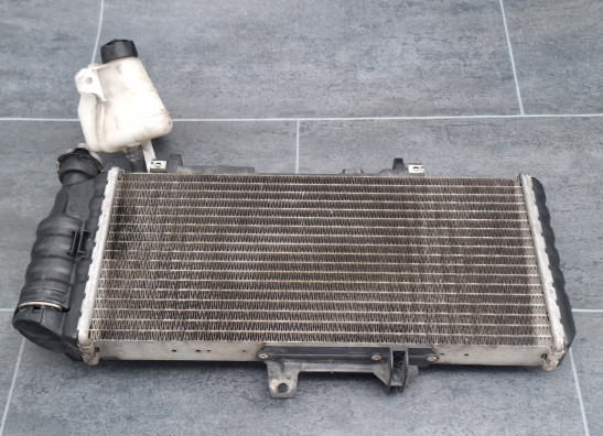 Radiateur BMW F 800 GS