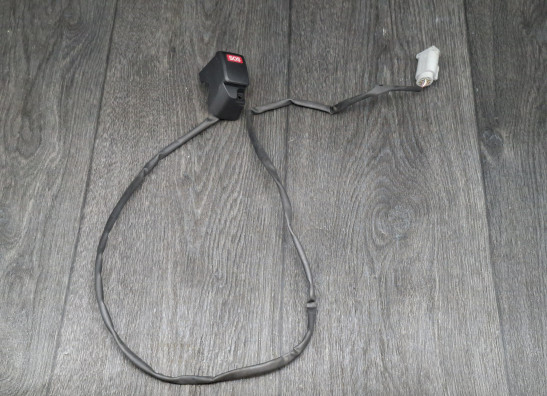 Lenkerschalter Armatur Schalter Lenker BMW R 1250 RT