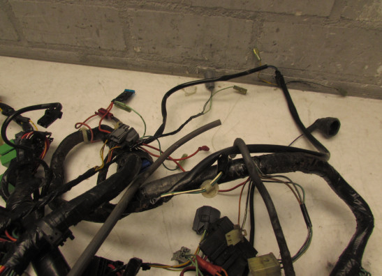 Wire Harness Honda Silverwing