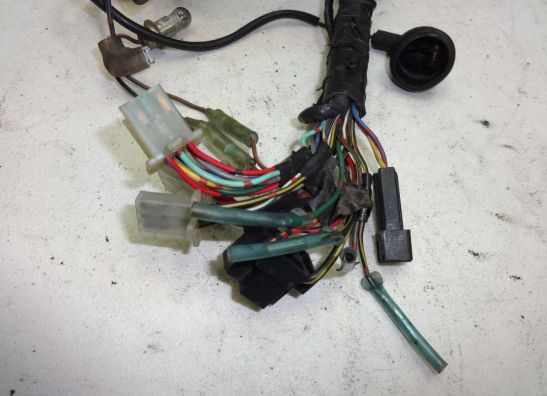 Kabelbaum Kawasaki ER 5