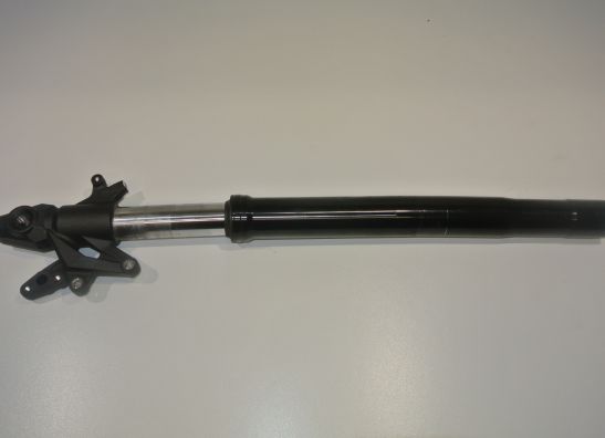 Standrohr Gabelholm links komplett Kawasaki Z 800