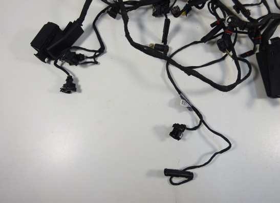 Kabelboom BMW F 650 GS