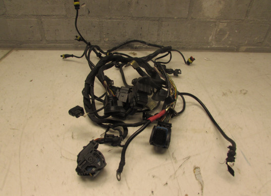 Kabelboom Ducati Multistrada 1000