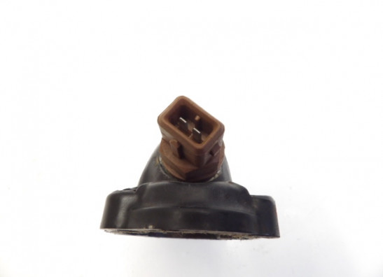 Motorblok diverse Triumph Sprint ST 955