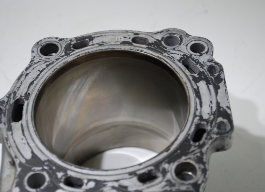 Zylinder Suzuki SV 1000