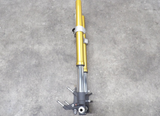Voorpoten compleet Suzuki DL 1000 V STROM