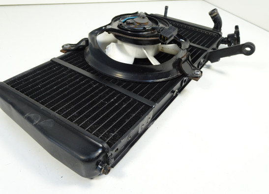 Radiateur Triumph Sprint ST 1050