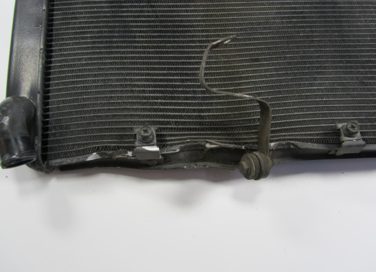 Kuhler Kawasaki Z 1000