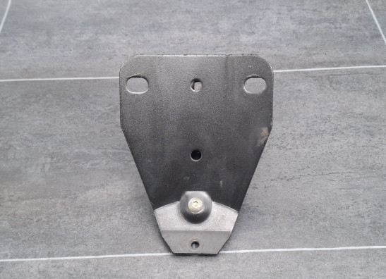 Sissybar seat Harley Davidson FLTR Road Glide