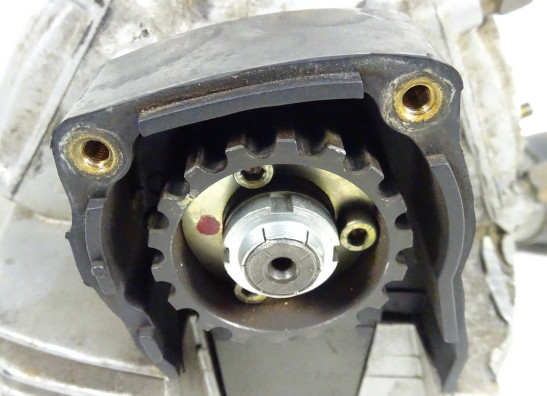 Cilinderkop Ducati monster 600