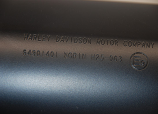 Auspuff Harley Davidson Pan America