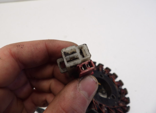 Dynamo Kawasaki ER 5