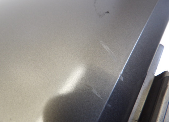 Tankschutz BMW R 1200 GS