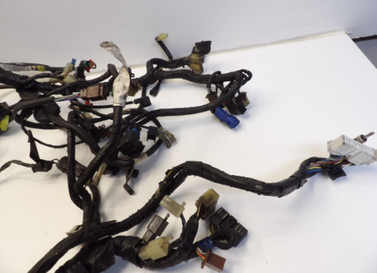 Kabelboom Honda Goldwing GL