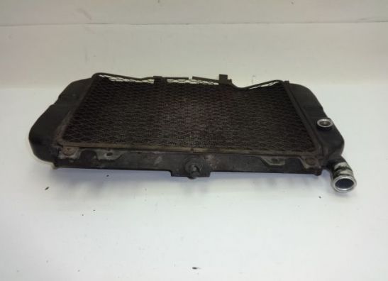 Kuhler Kawasaki ZZR 600