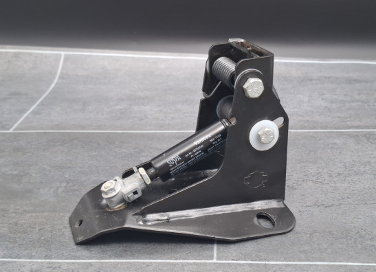 Sissybar seat Harley Davidson FLTR Road Glide