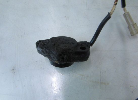 Motorblok diverse Cagiva Overig Cagiva