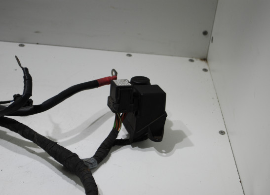 Kabelbaum BMW R 1200 RT