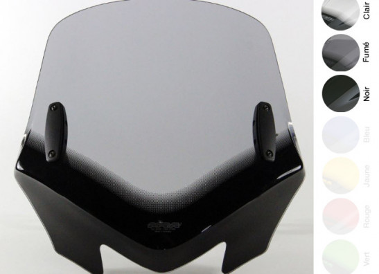 Windscreen BMW R 1150 R