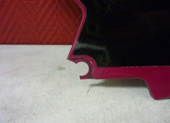 Heck links Kawasaki ZZR 1100