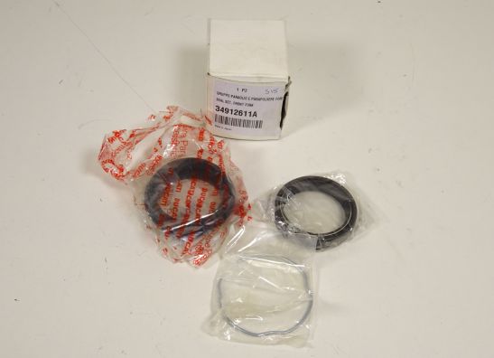 Voorpoot binnen Ducati monster 696