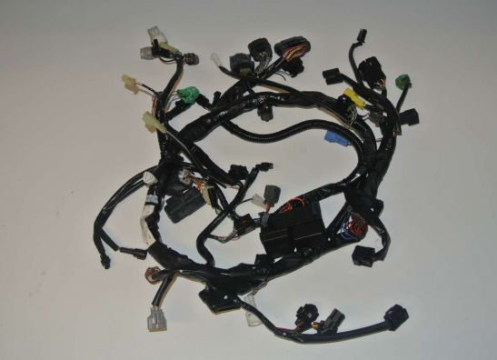 Wire Harness Suzuki SFV 650 Gladius